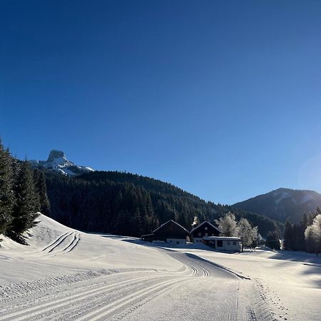 Plaik-Haeusl Annaberg im Lammertal Exterior foto