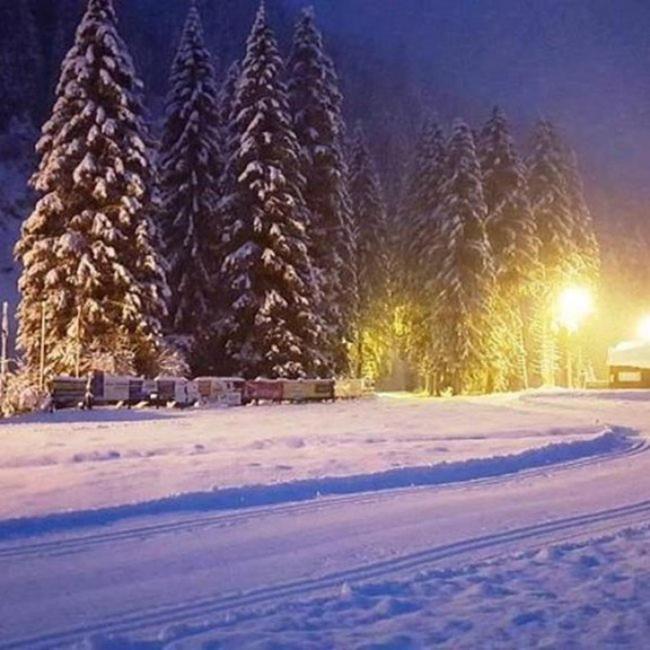 Plaik-Haeusl Annaberg im Lammertal Exterior foto