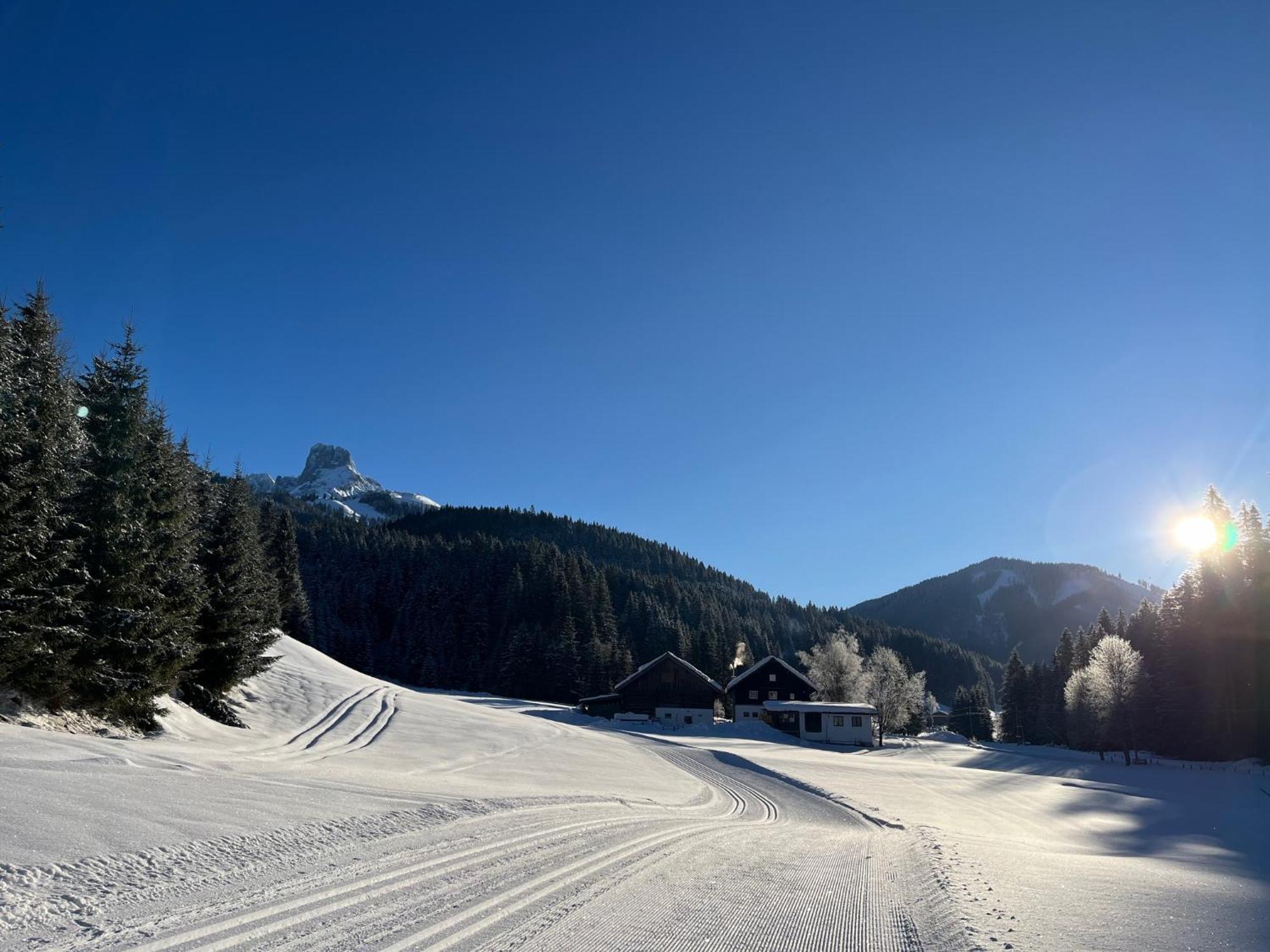 Plaik-Haeusl Annaberg im Lammertal Exterior foto