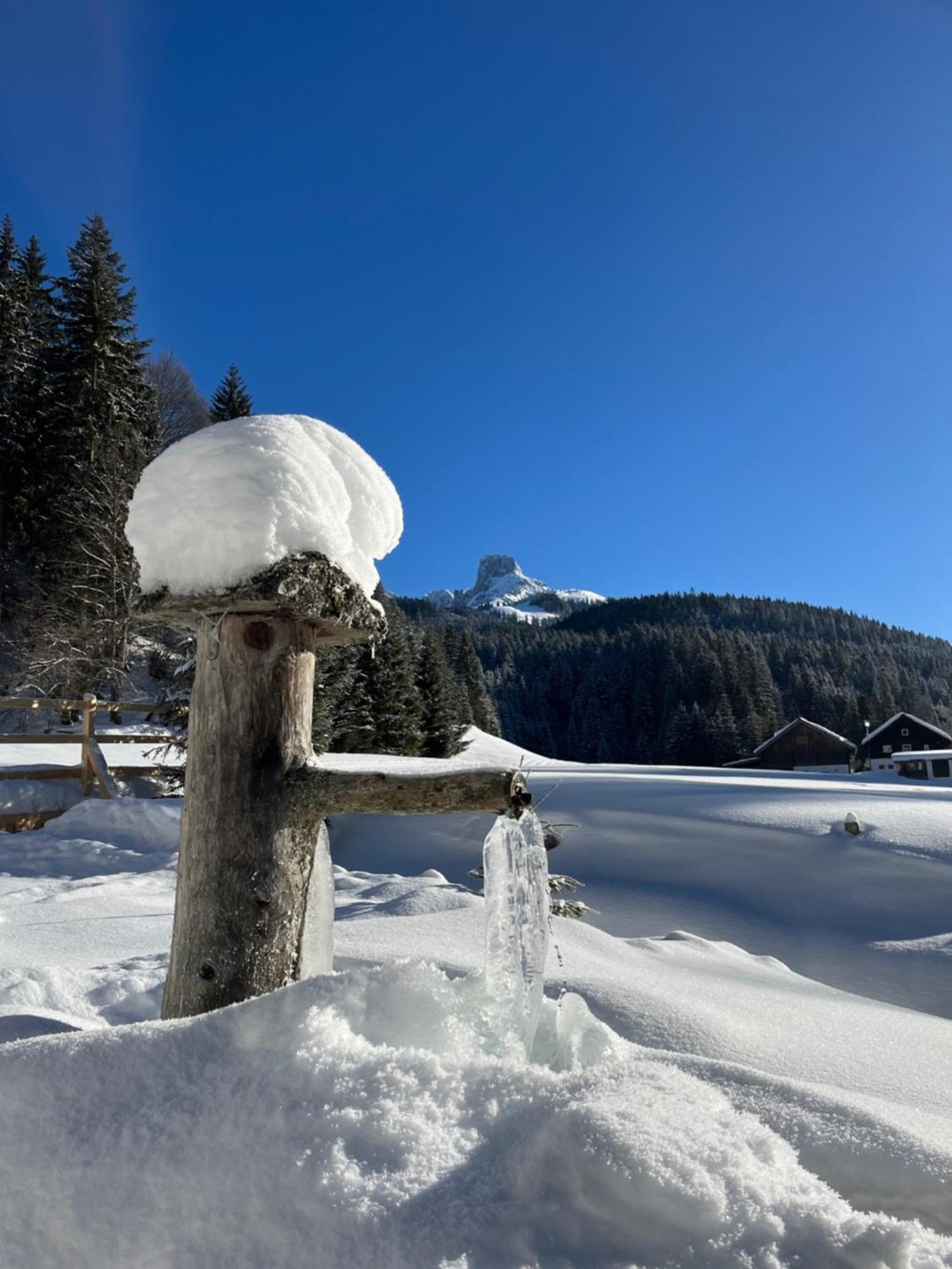 Plaik-Haeusl Annaberg im Lammertal Exterior foto